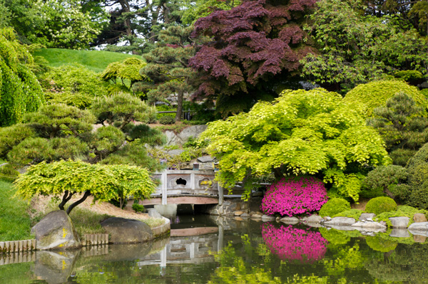 brooklyn-botanical-garden
