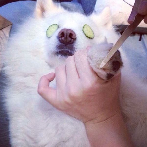 530__605