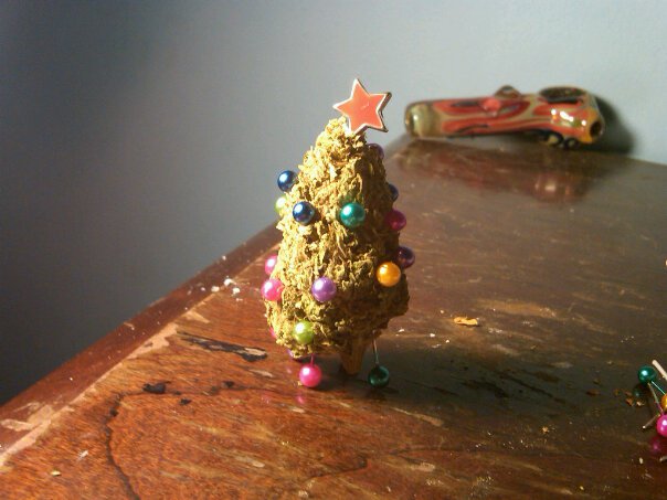 5weed