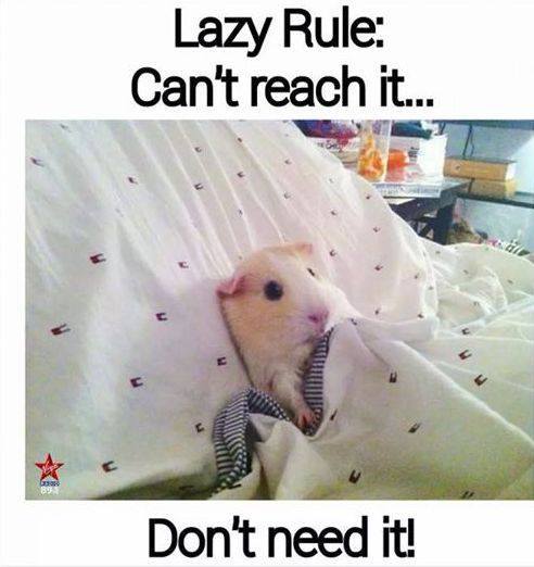 lazyrule