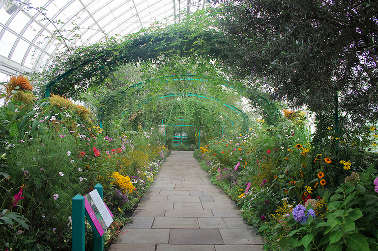 NYGarden