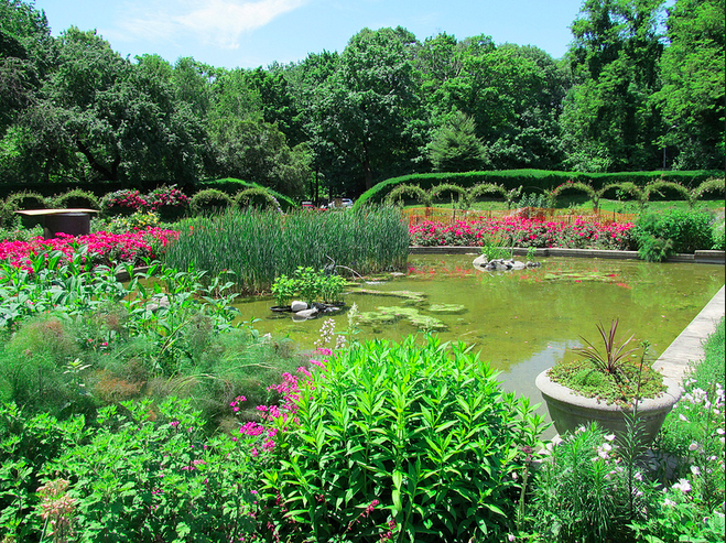 bbgardens