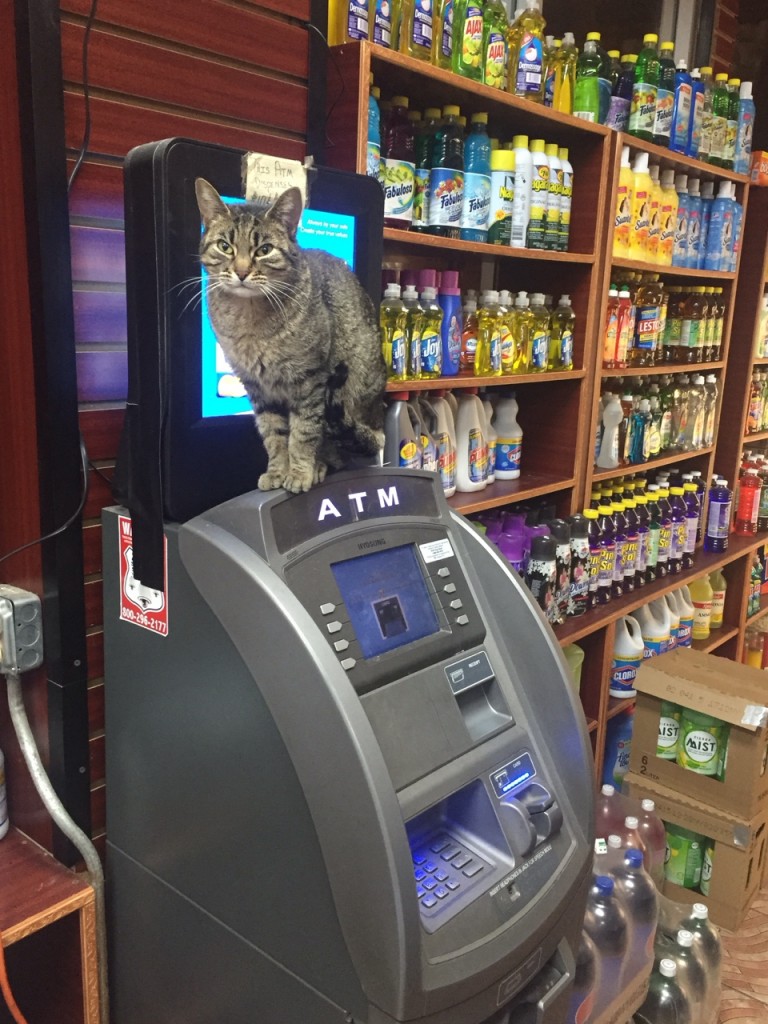 5bodegaatm