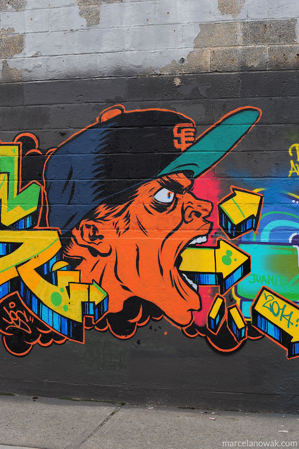 Amazing-Bushwick-Collective-Street-Art-Photos-taken-by-Marcela-Nowak-part.224__880