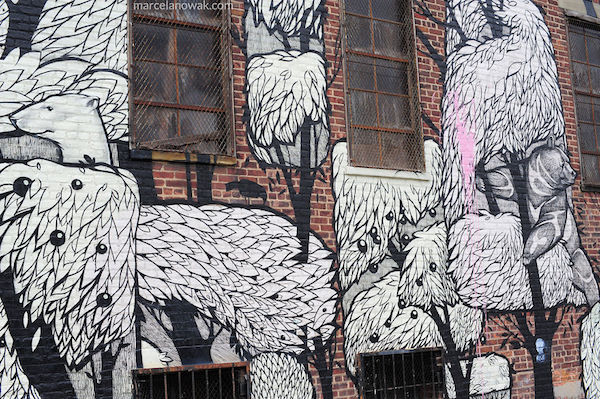 Amazing-Bushwick-Collective-Street-Art-Photos-taken-by-Marcela-Nowak-part.230__880