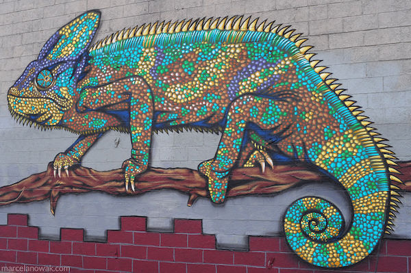 Amazing-Bushwick-Collective-Street-Art-Photos-taken-by-Marcela-Nowak-part.240__880