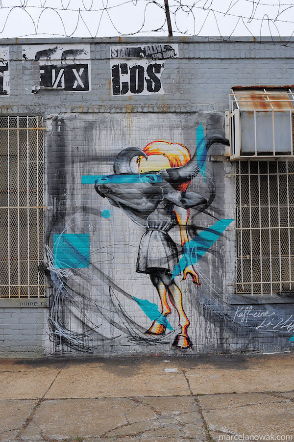 Amazing-Bushwick-Collective-Street-Art-Photos-taken-by-Marcela-Nowak-part.244__880
