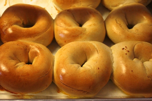 New-York-Bagel