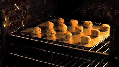 giphy-2