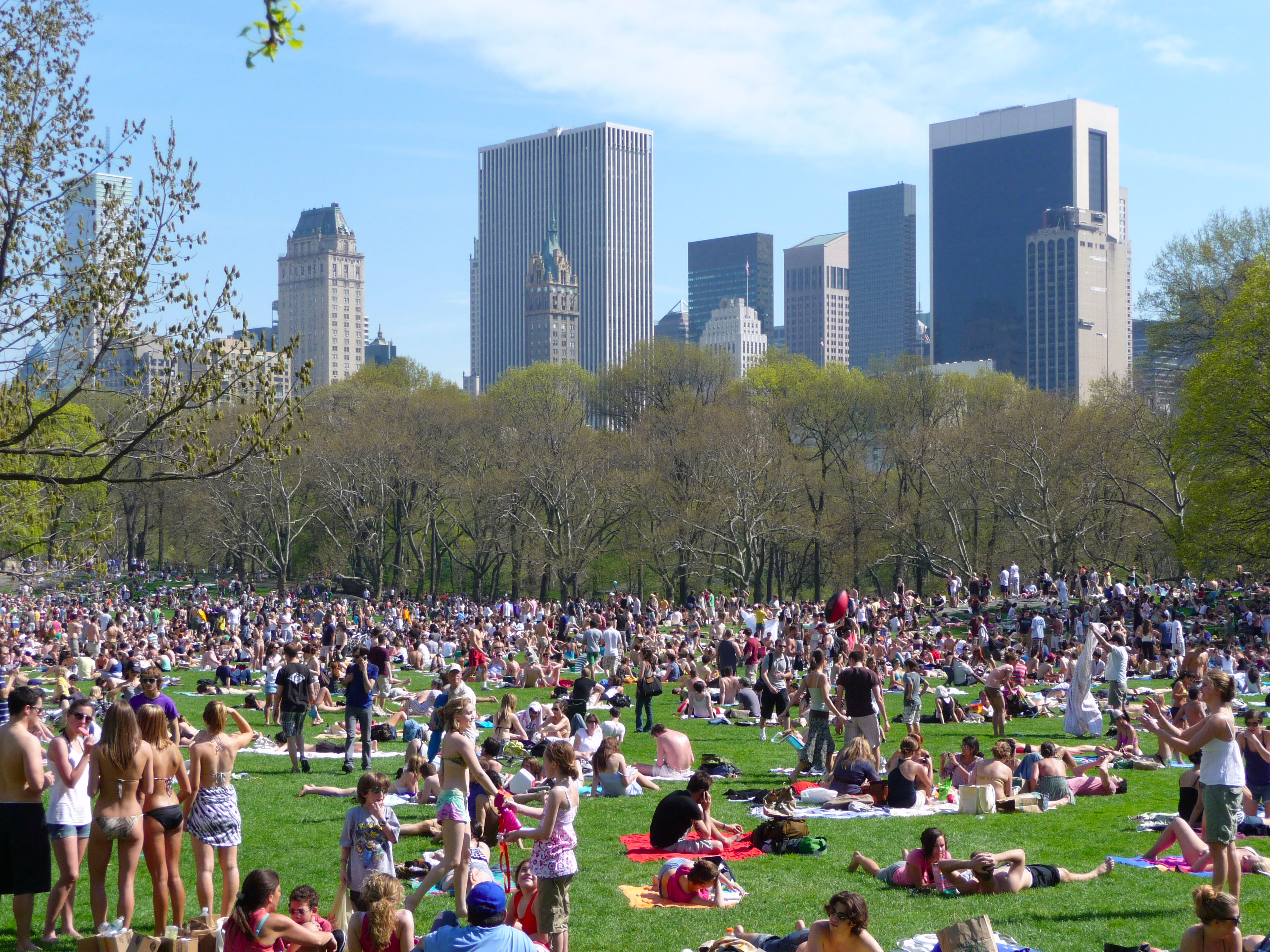 Summer in new york. Централ парк Нью-Йорк. Нью-Йорк в США централ парк. Гайден парк Нью-Йорк. Центральный парк Нью-Йорка площадь.