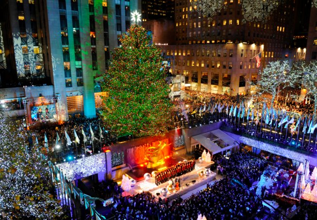 tis the season the definitive guide to christmas tree tis the season the definitive guide to christmas tree