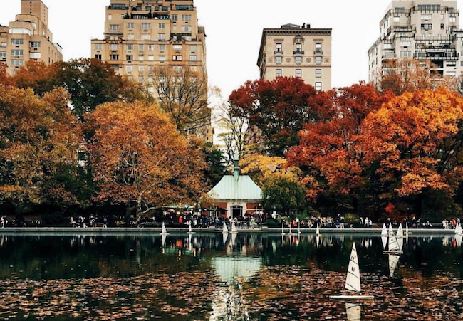 Fall Foliage Is Starting to Show in NYC & It's Beautiful | spoiled NYC