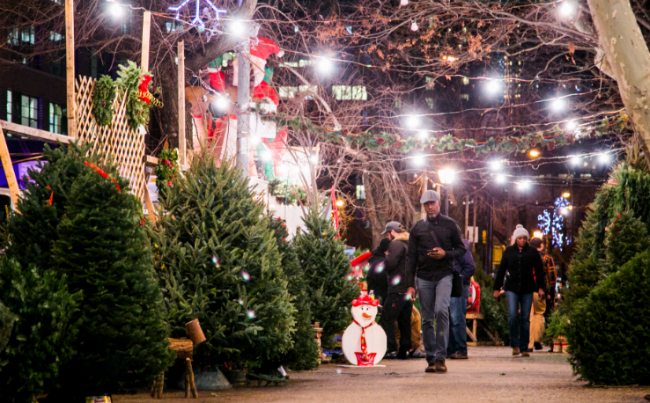 Time to Avoid These Christmas Trees Selling for $1,000 in NYC ...