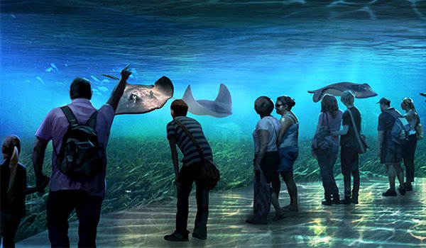 Virtual Aquarium - Real Live Fish 