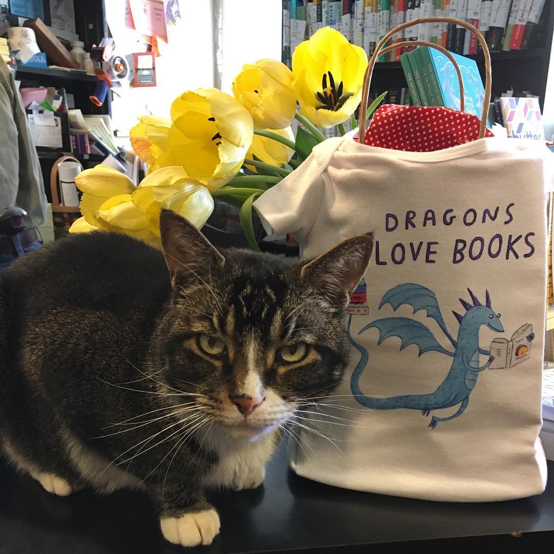 cat and dragons love books bag